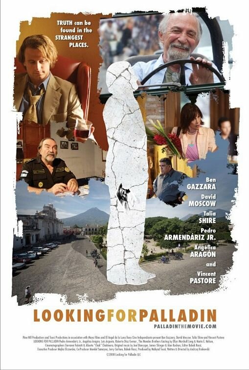 В поисках Палладина (2008) постер