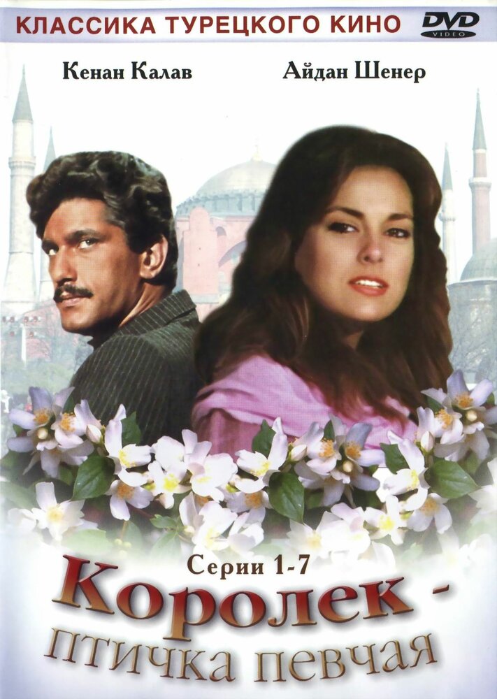 Королёк – птичка певчая (1986) постер