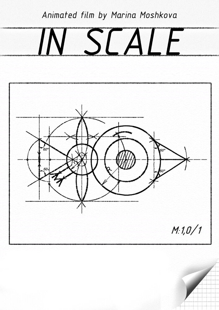 В масштабе (2008) постер